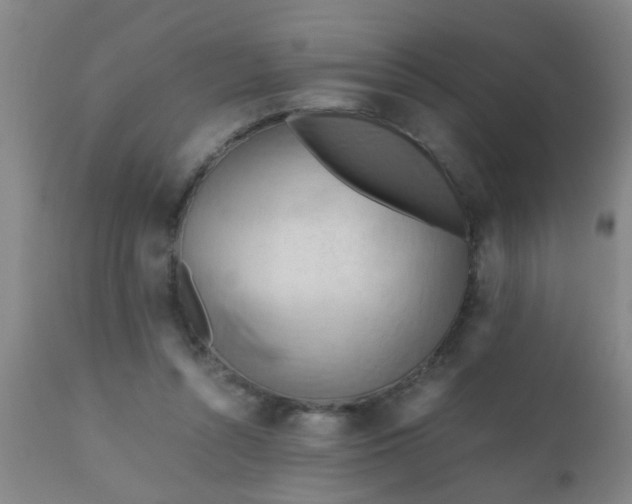 X0000110970352200907022250