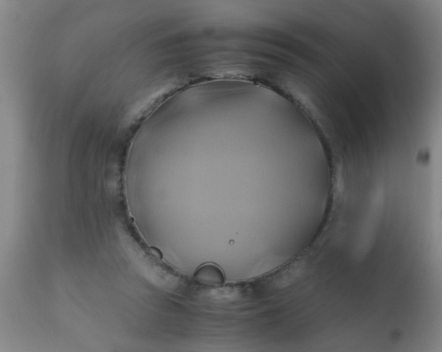 X0000110970353200907022250