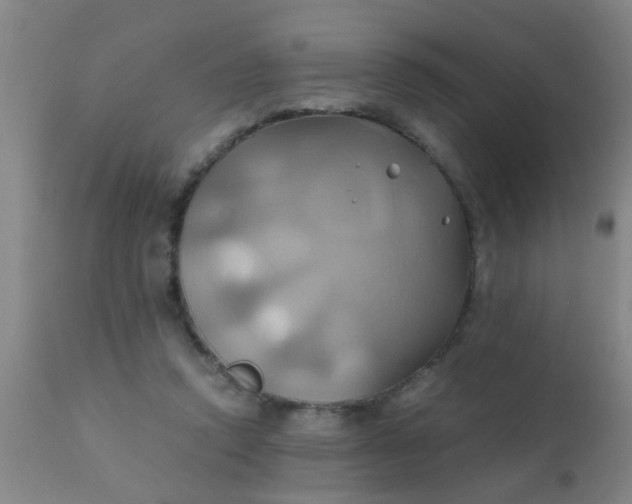 X0000110970354200907022250