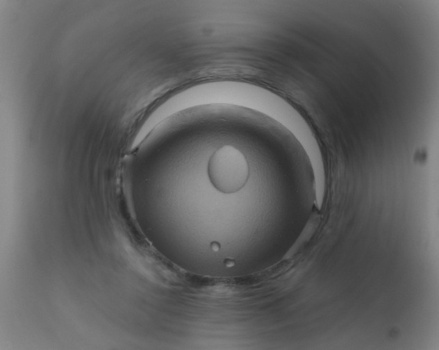 X0000110970356200907022250