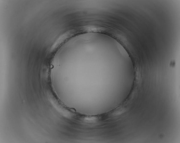 X0000110970357200907022250