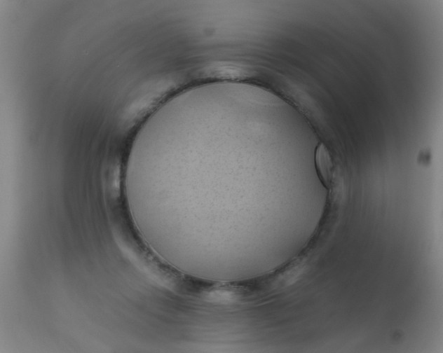 X0000110970358200907022251