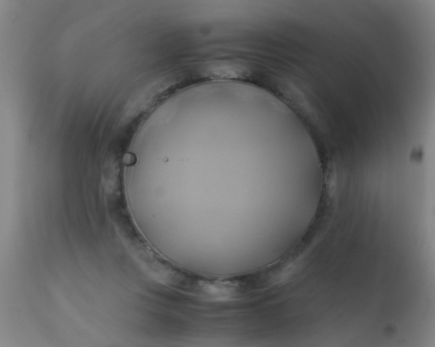 X0000110970359200907022251