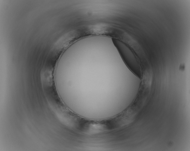 X0000110970360200907022251