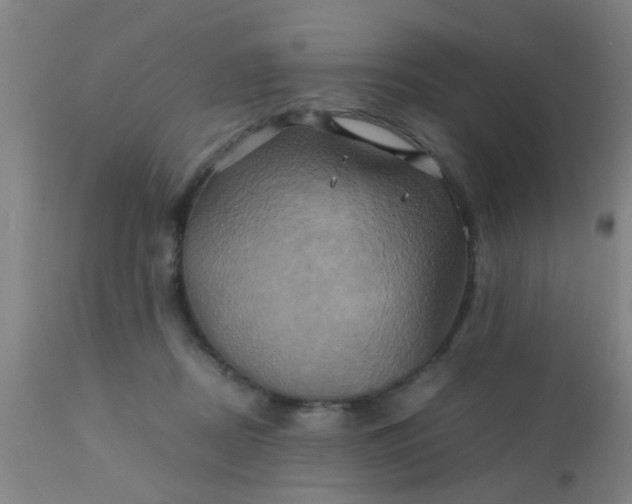 X0000110970362200907022251