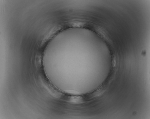 X0000110970363200907022251