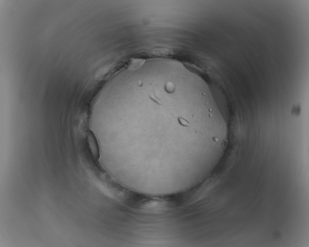 X0000110970364200907022251