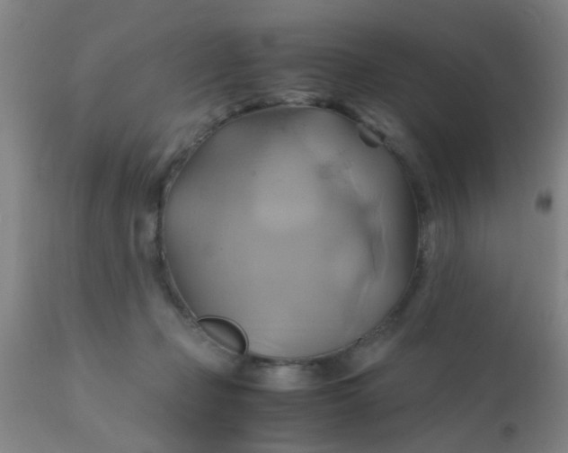 X0000110970365200907022251