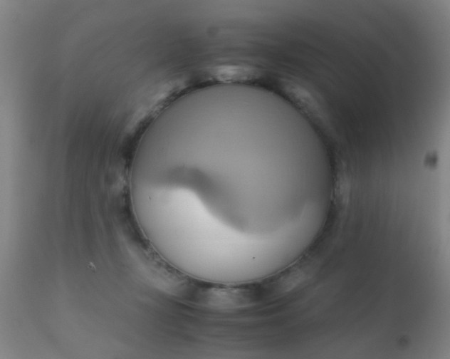 X0000110970367200907022251