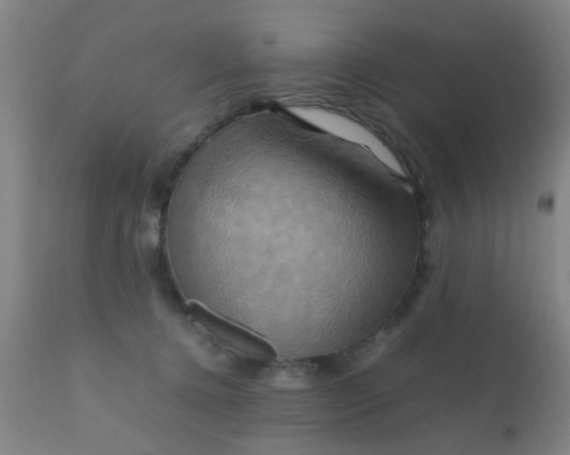 X0000110970368200907022251