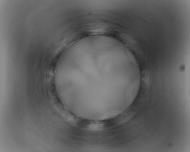 X0000110970369200907022251