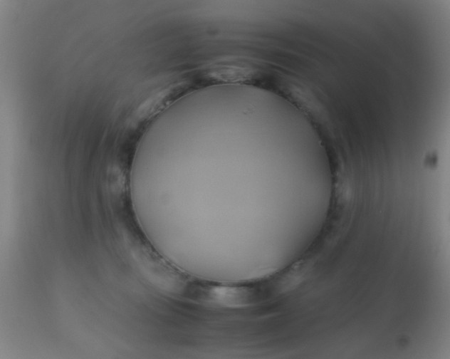 X0000110970371200907022251