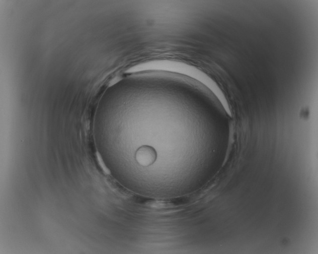 X0000110970372200907022251