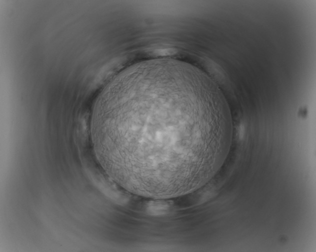 X0000110970373200907022251