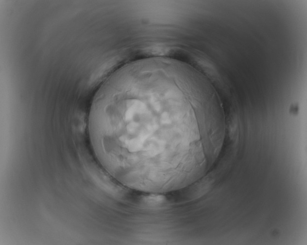 X0000110970374200907022251