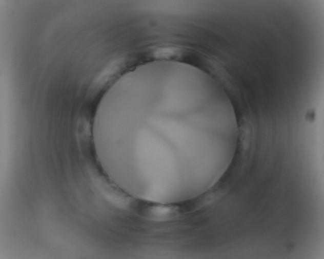 X0000110970375200907022251