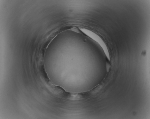 X0000110970376200907022251