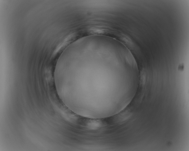 X0000110970377200907022251