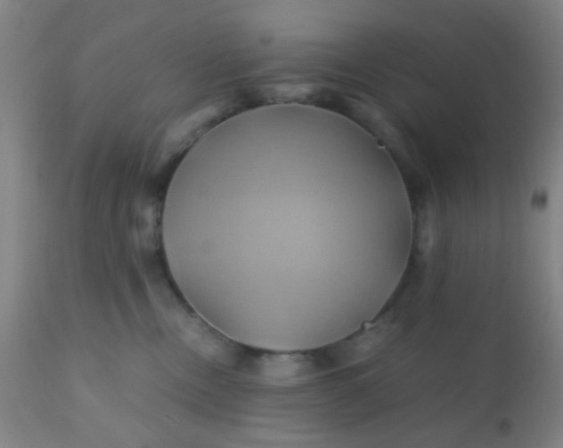 X0000110970378200907022251