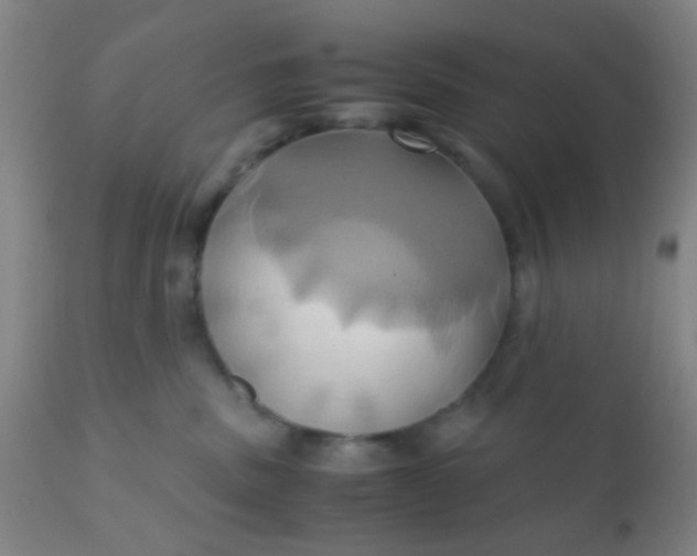 X0000110970379200907022251