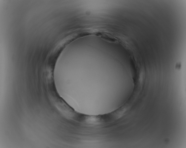 X0000110970380200907022251