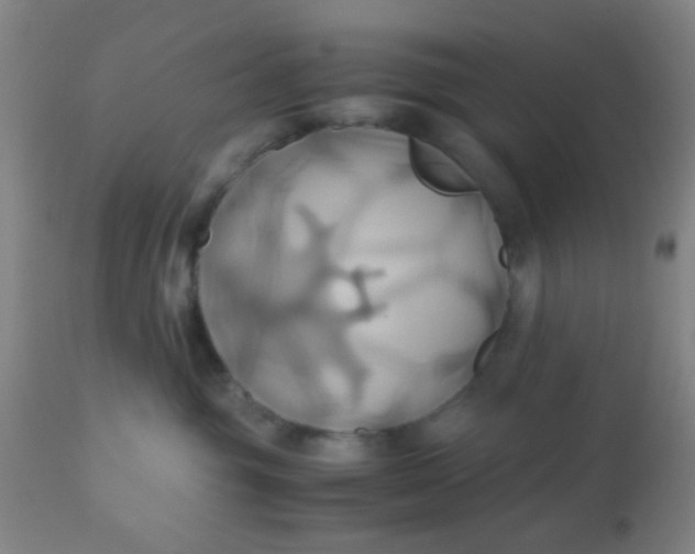 X0000110970381200907022251