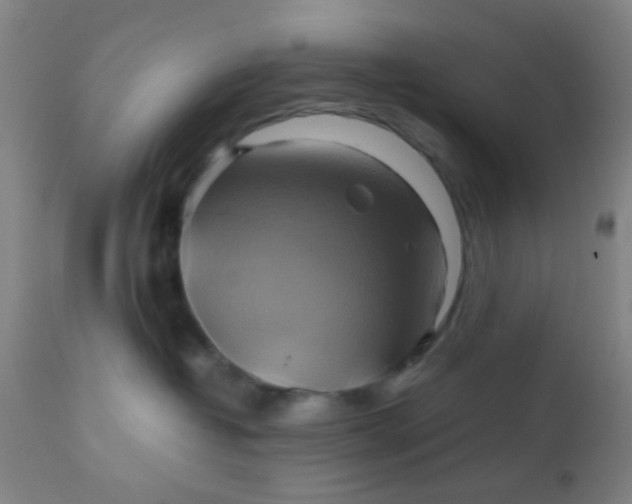 X0000110970382200907022251