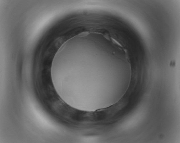 X0000110970383200907022251