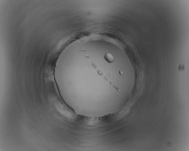 X0000110970384200907022251