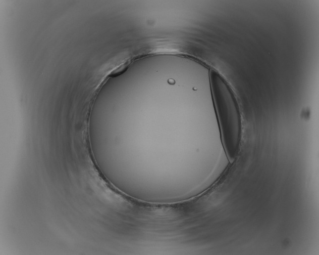 X0000110970385200907022250