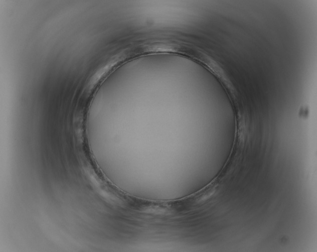 X0000110970386200907022250