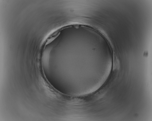 X0000110970387200907022250