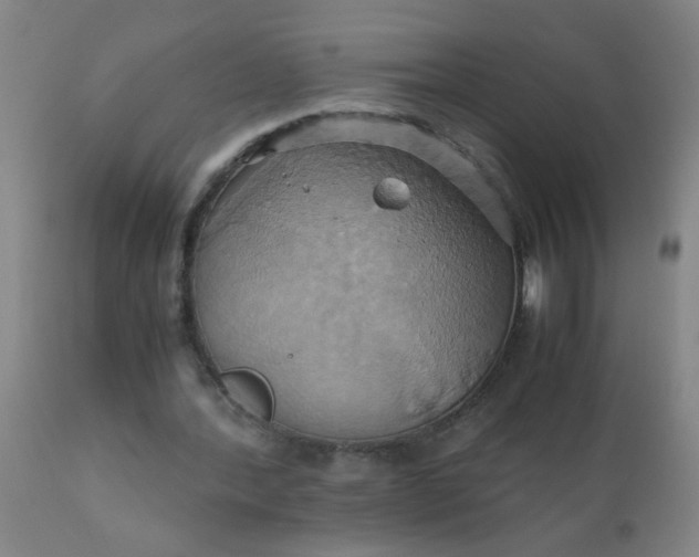 X0000110970388200907022250