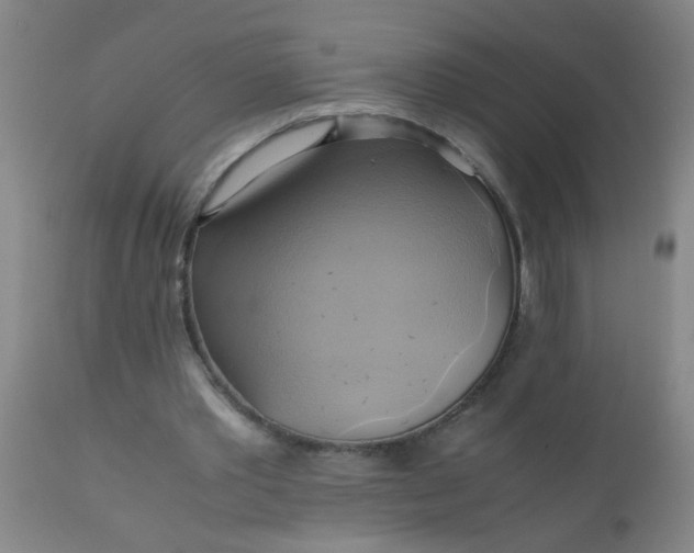 X0000110970389200907022250