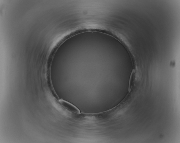 X0000110970391200907022250