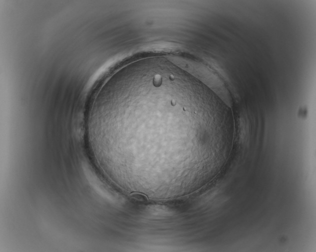 X0000110970392200907022250