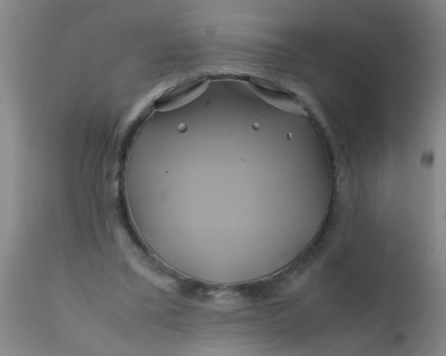 X0000110970395200907022250