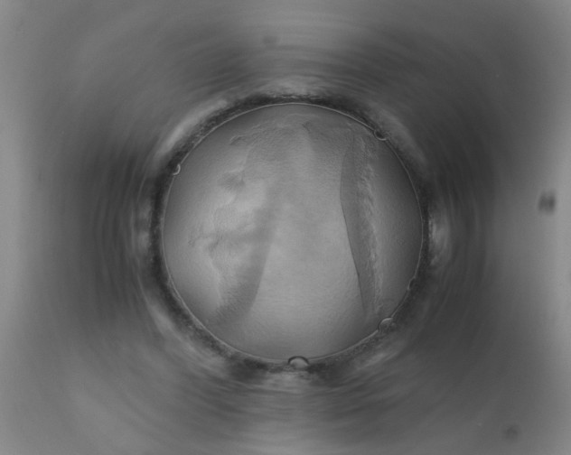 X0000110970396200907022250