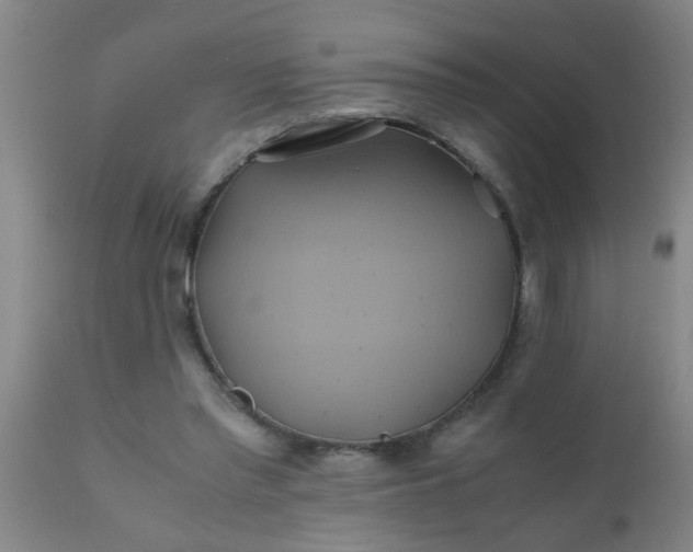 X0000110970397200907022250