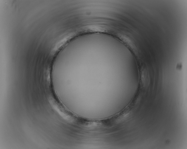 X0000110970398200907022250