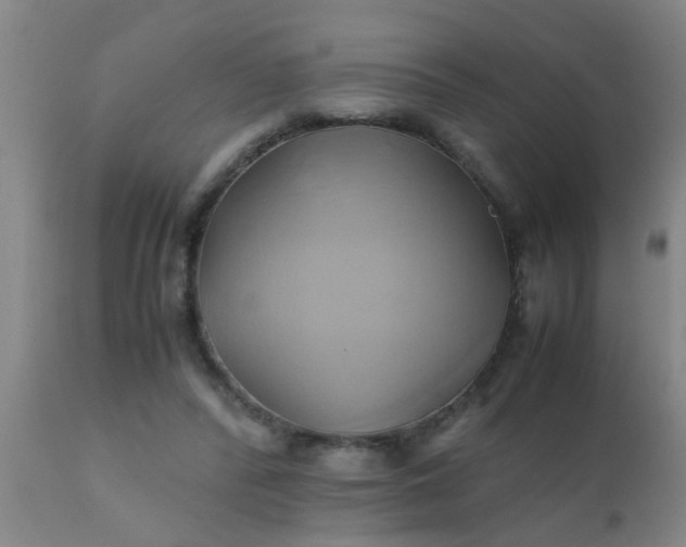 X0000110970400200907022250