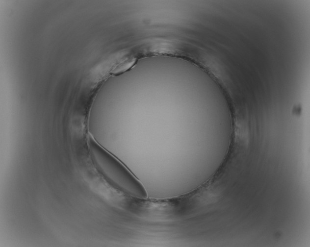 X0000110970401200907022250