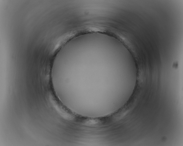 X0000110970402200907022250