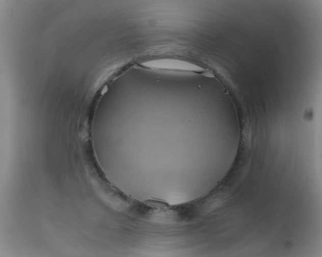 X0000110970403200907022250