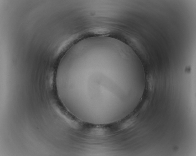 X0000110970404200907022250