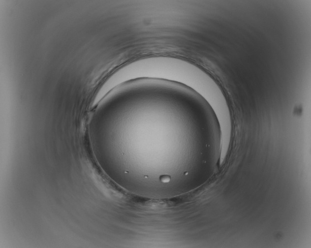 X0000110970405200907022250