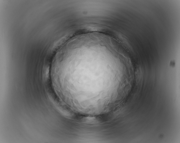 X0000110970406200907022250