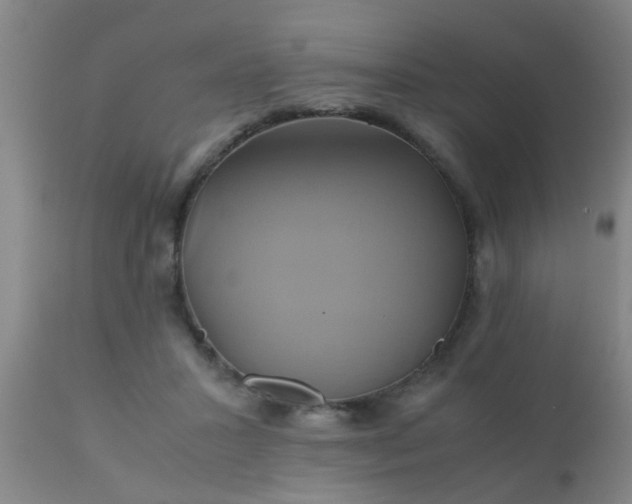 X0000110970407200907022250