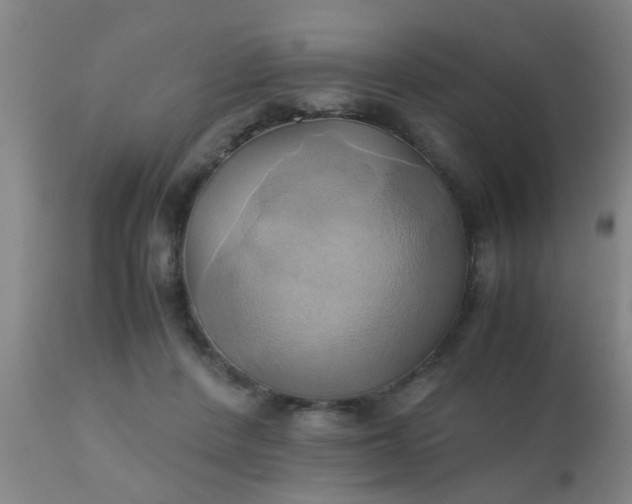 X0000110970408200907022250