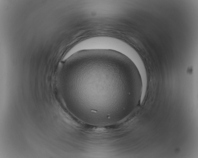 X0000110970409200907022250